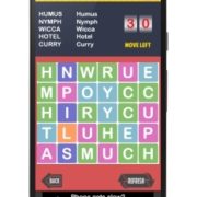 Word Mind Game Screen Shot